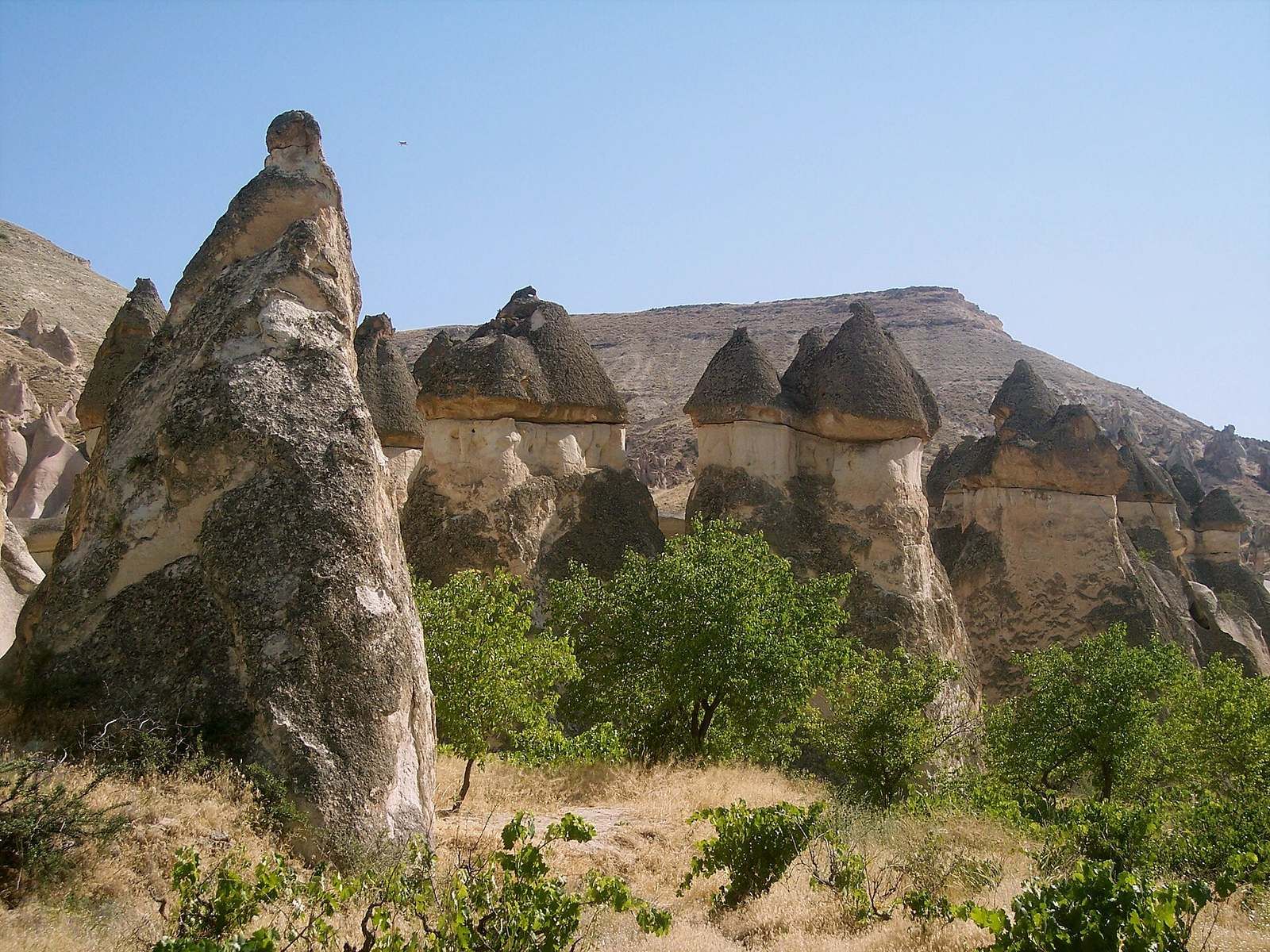 Skalne kominy w Paşabağ – Cappadocia, Turkey